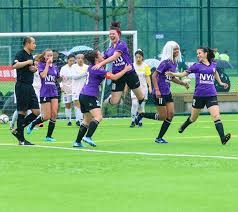 解析明尼苏达双城队如何利用球场设计抵御寒冷气候对上座率的影响